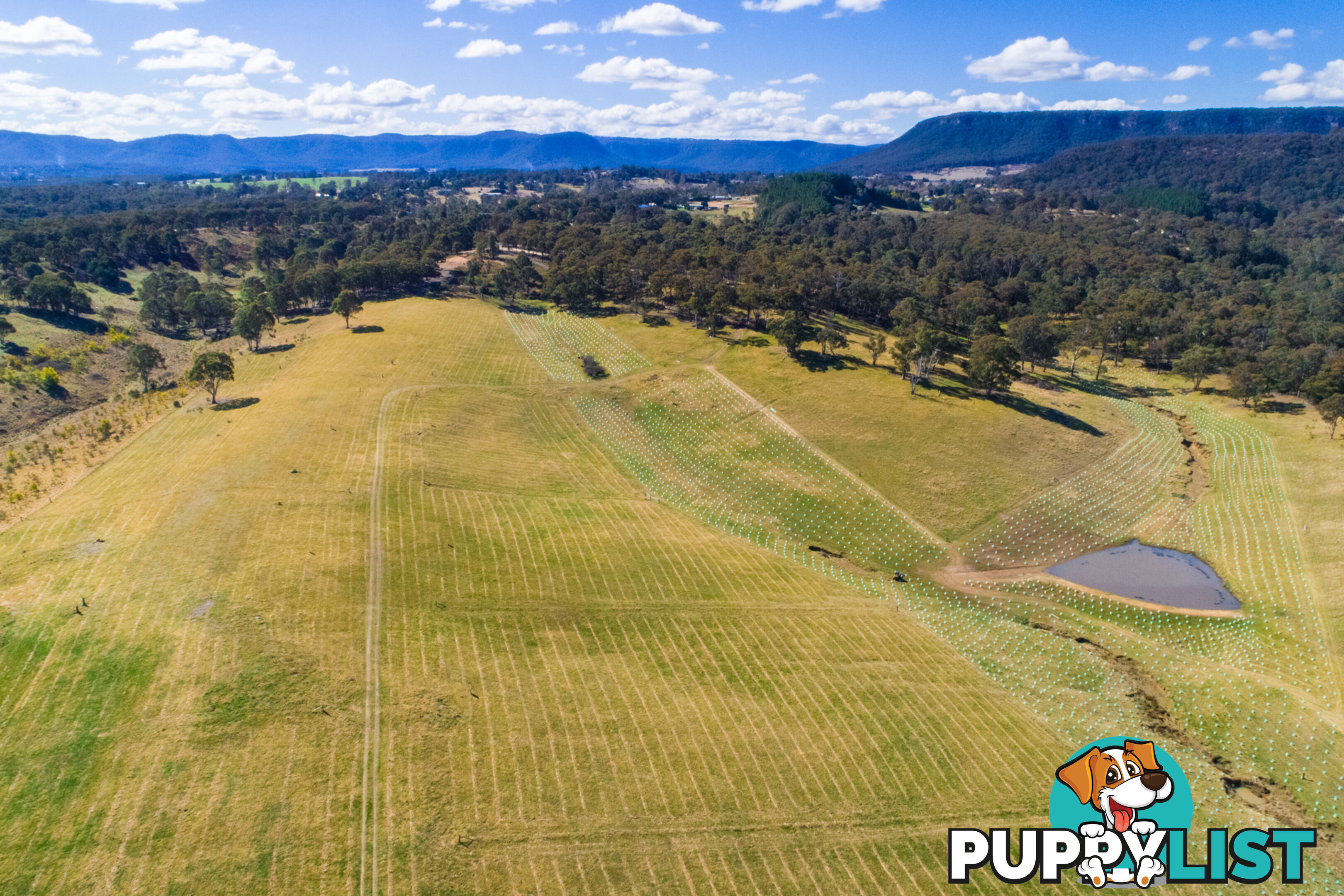 Lot 31 Moyne Farm LITTLE HARTLEY NSW 2790