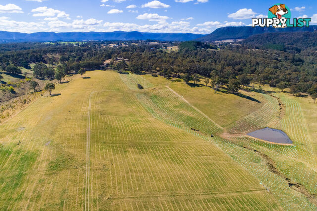 Lot 31 Moyne Farm LITTLE HARTLEY NSW 2790