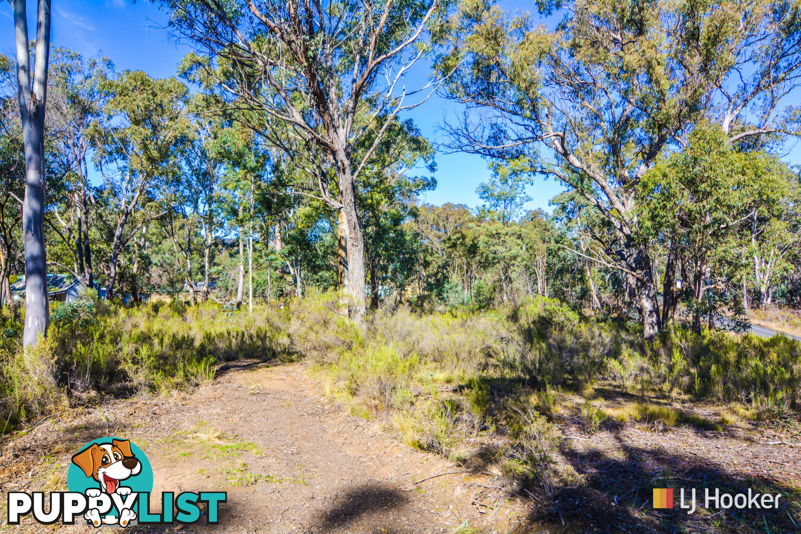 Lot 1 & 2/ Bandamora Street CAPERTEE NSW 2846