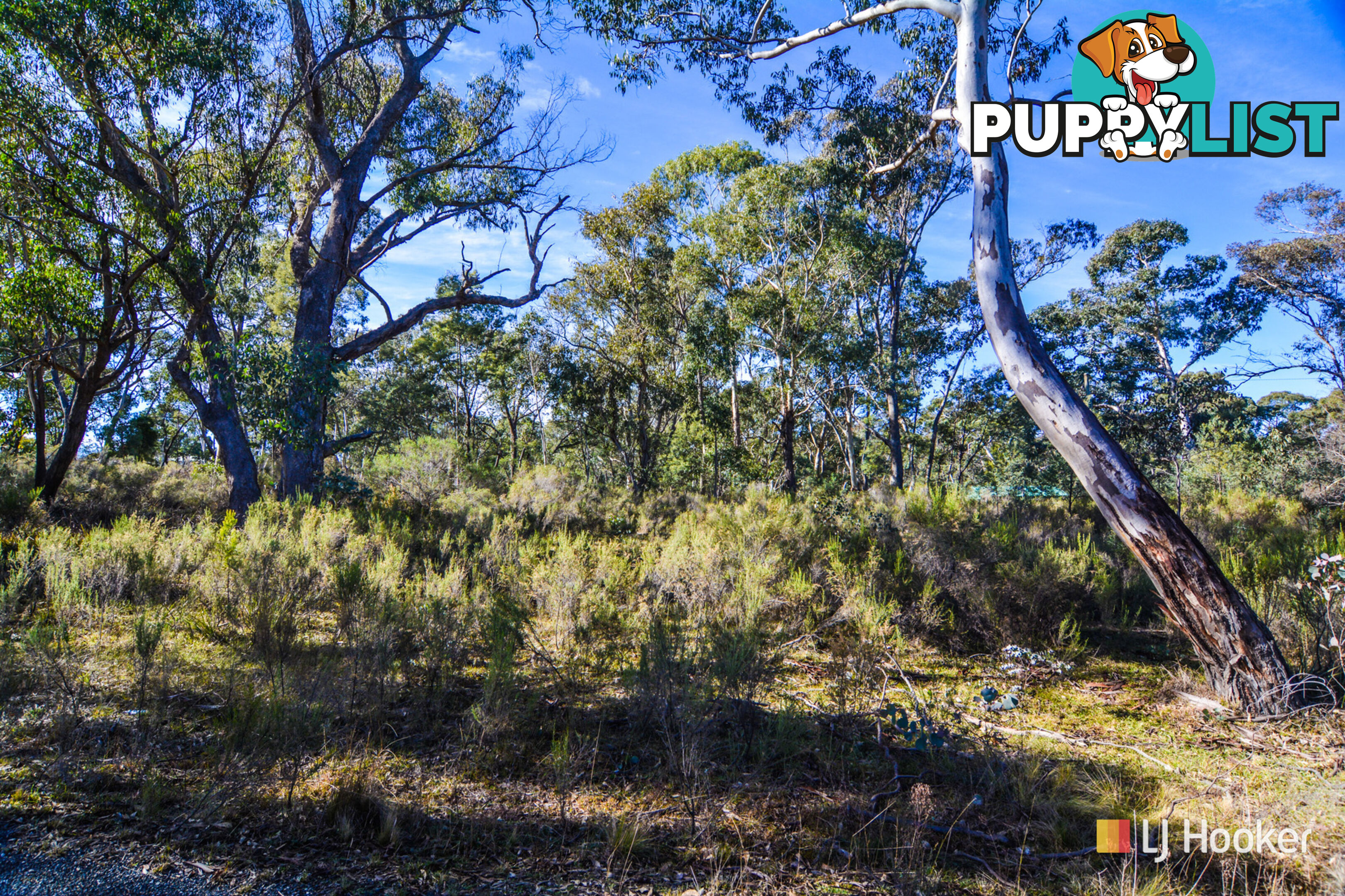 Lot 1 & 2/ Bandamora Street CAPERTEE NSW 2846
