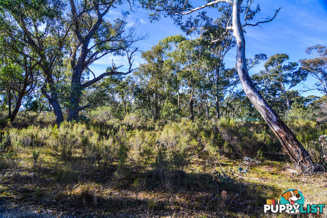 Lot 1 & 2/ Bandamora Street CAPERTEE NSW 2846
