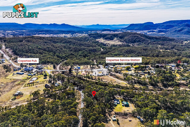 Lot 1 & 2/ Bandamora Street CAPERTEE NSW 2846