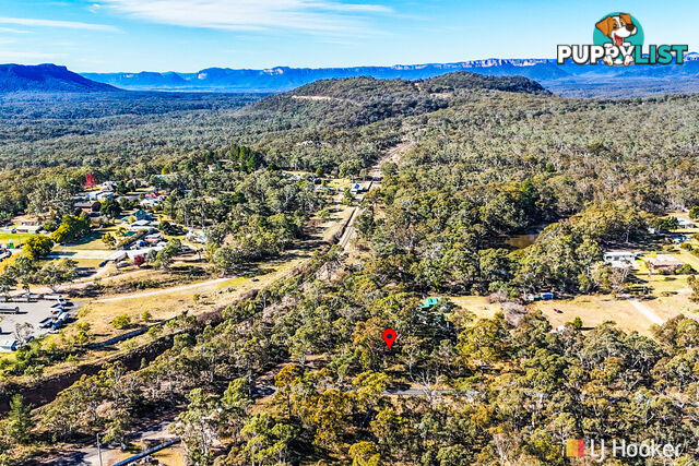 Lot 1 & 2/ Bandamora Street CAPERTEE NSW 2846