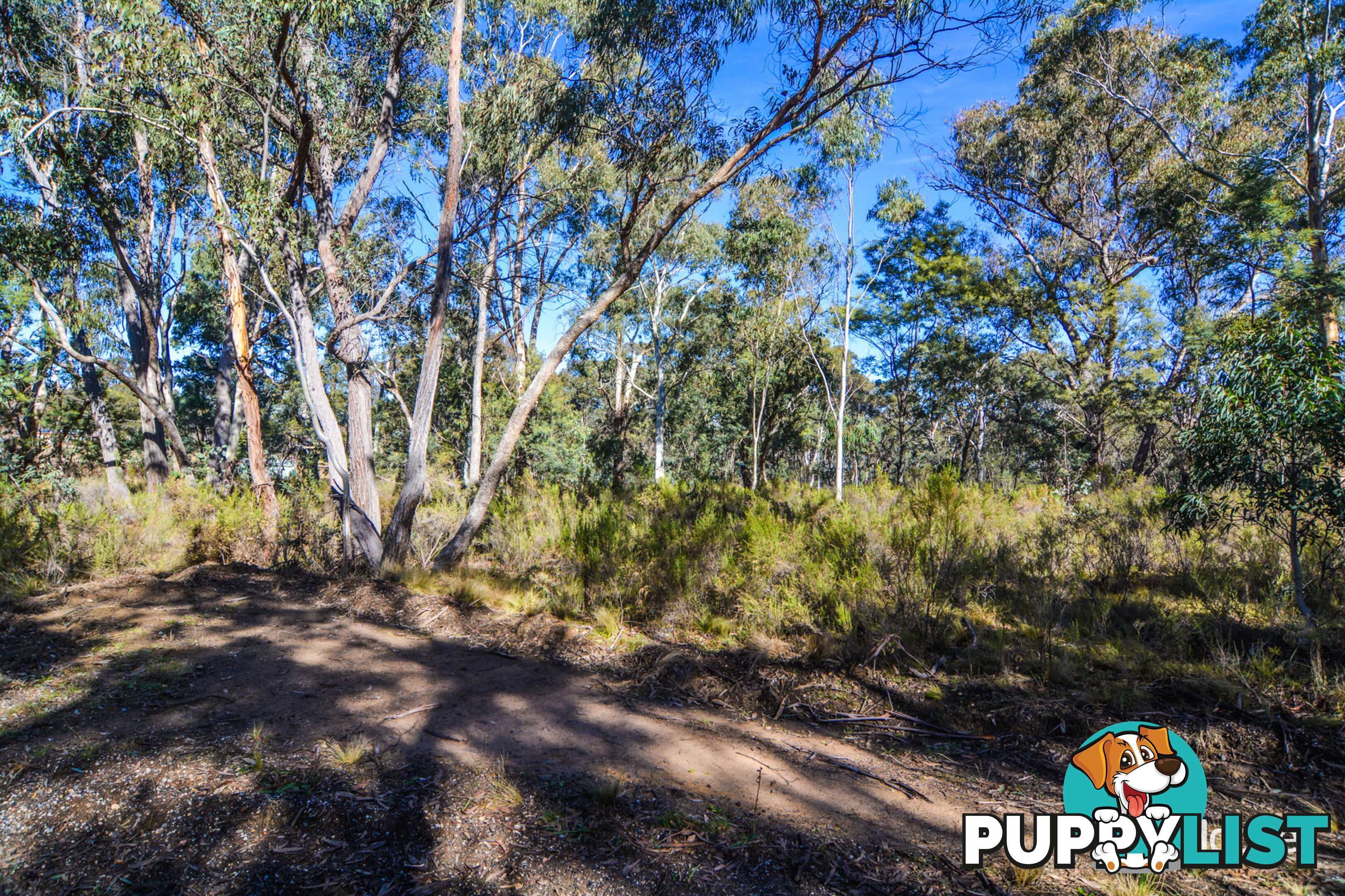 Lot 1 & 2/ Bandamora Street CAPERTEE NSW 2846