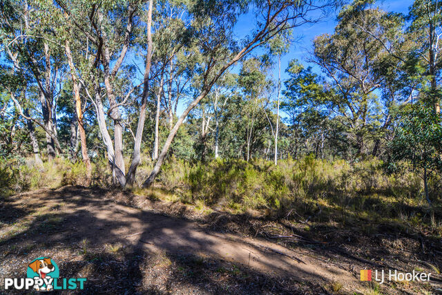 Lot 1 & 2/ Bandamora Street CAPERTEE NSW 2846