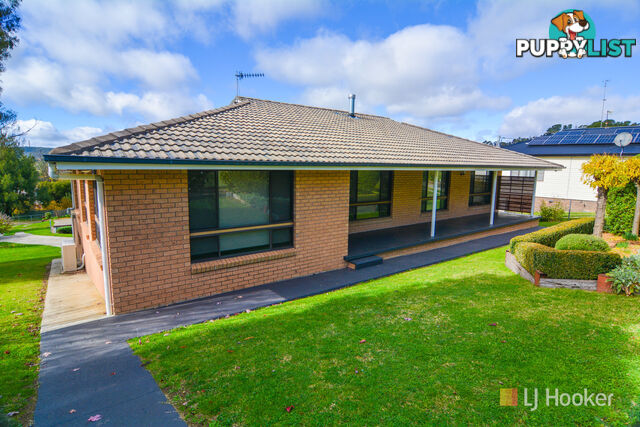 6 Burton Street PORTLAND NSW 2847