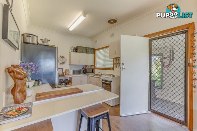 502 Back Cullen Road PORTLAND NSW 2847