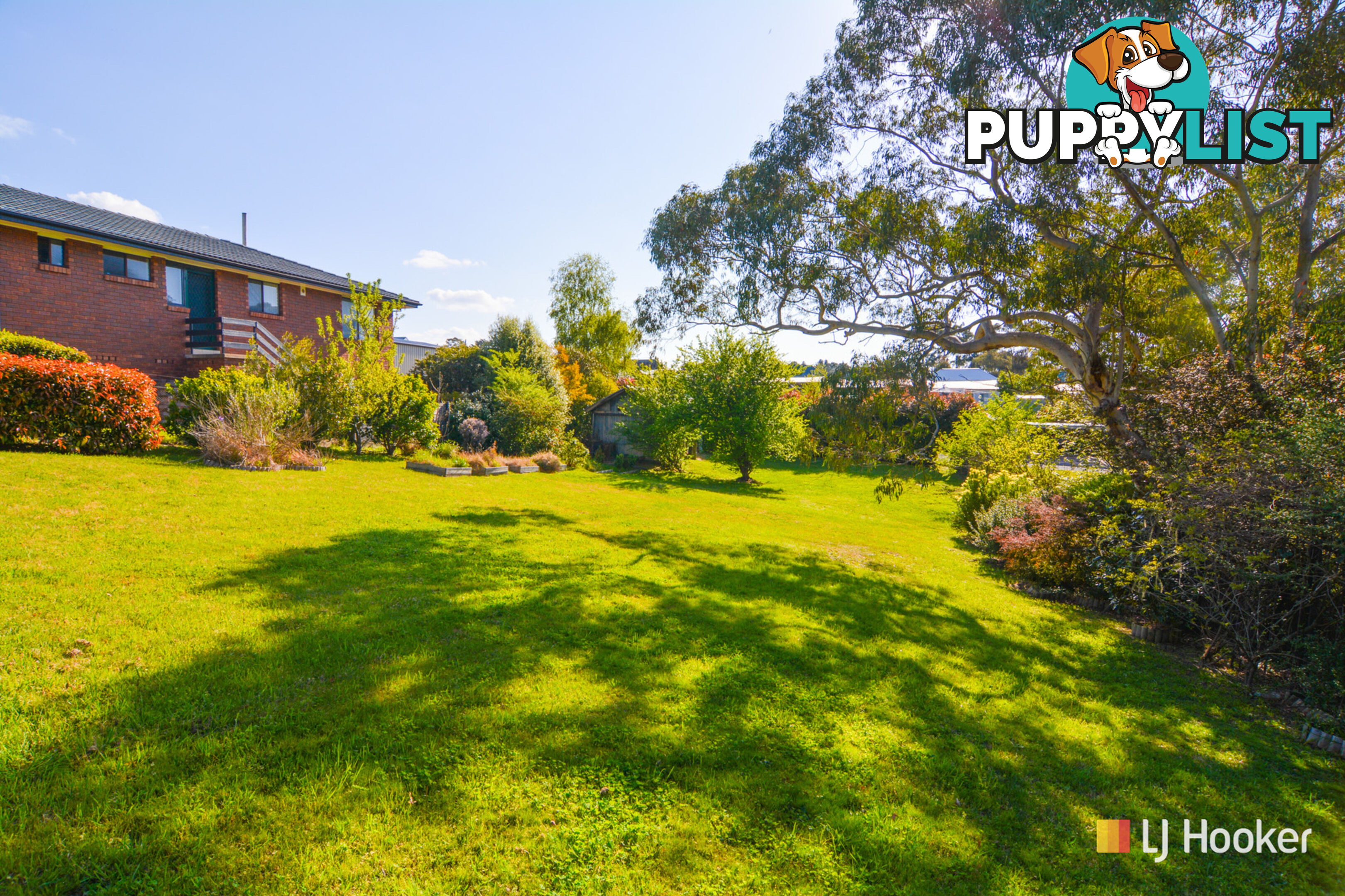 41 Cox Street PORTLAND NSW 2847