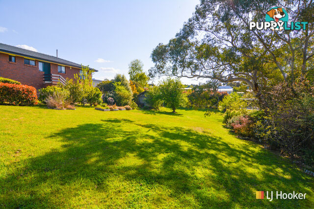 41 Cox Street PORTLAND NSW 2847