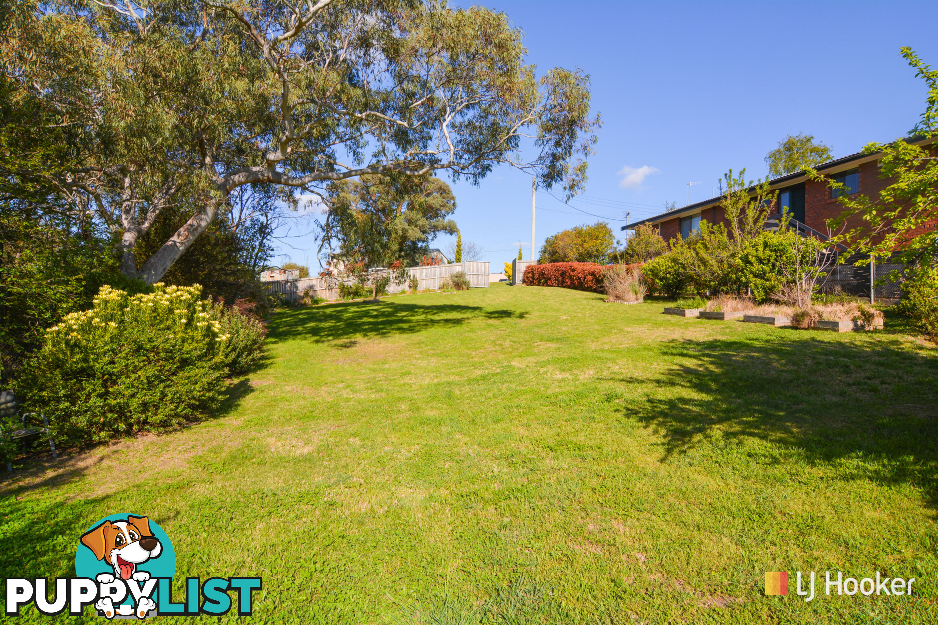 41 Cox Street PORTLAND NSW 2847