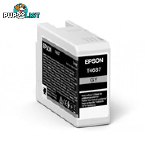 Epson 46S  C13T46S700 Grey Ink for SureColor P706 - Epson - Epson 46S Gray - 0.20kg