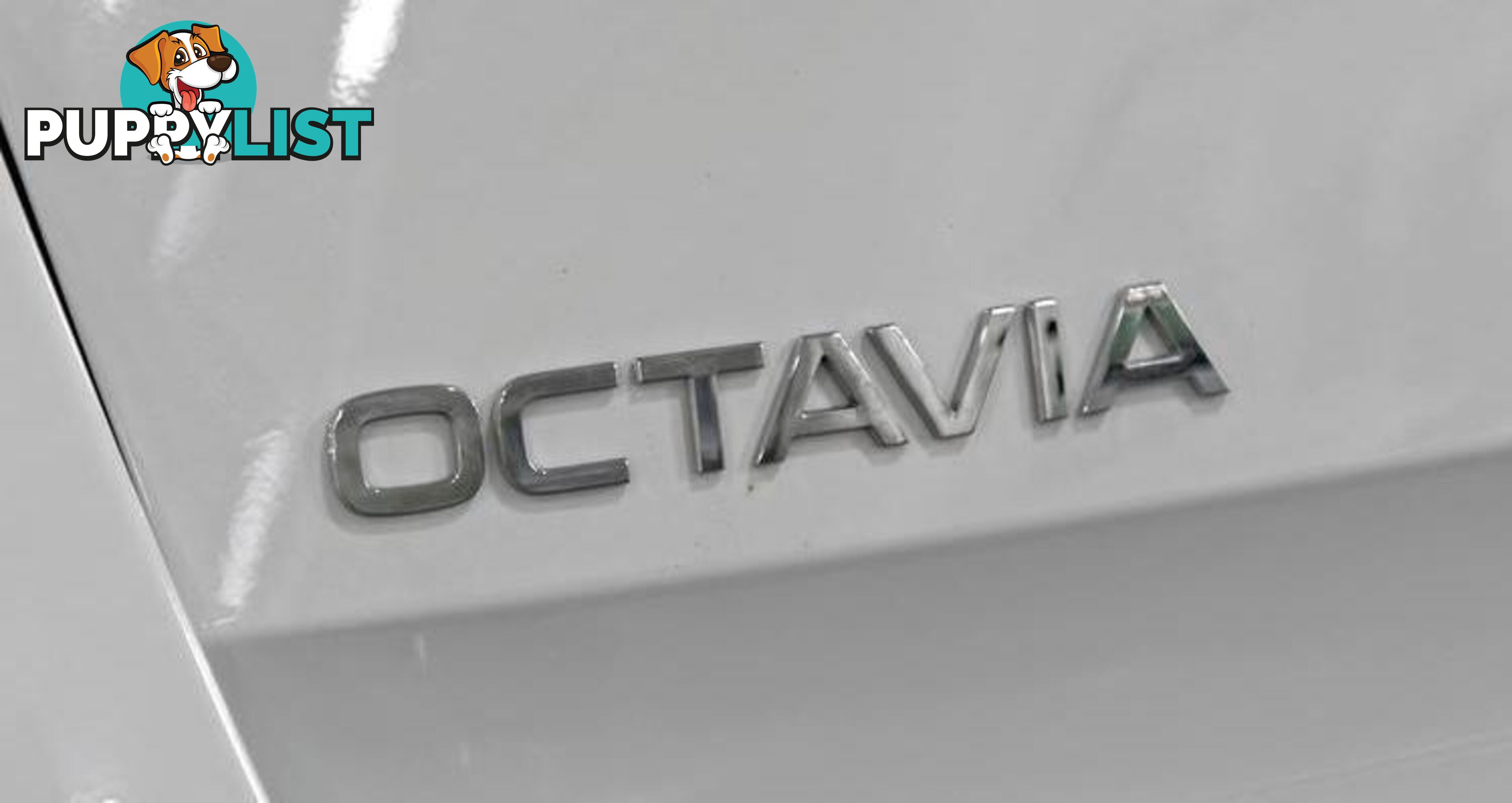 2024 SKODA OCTAVIA 110TSI SELECT AUTOMY25 WAGON