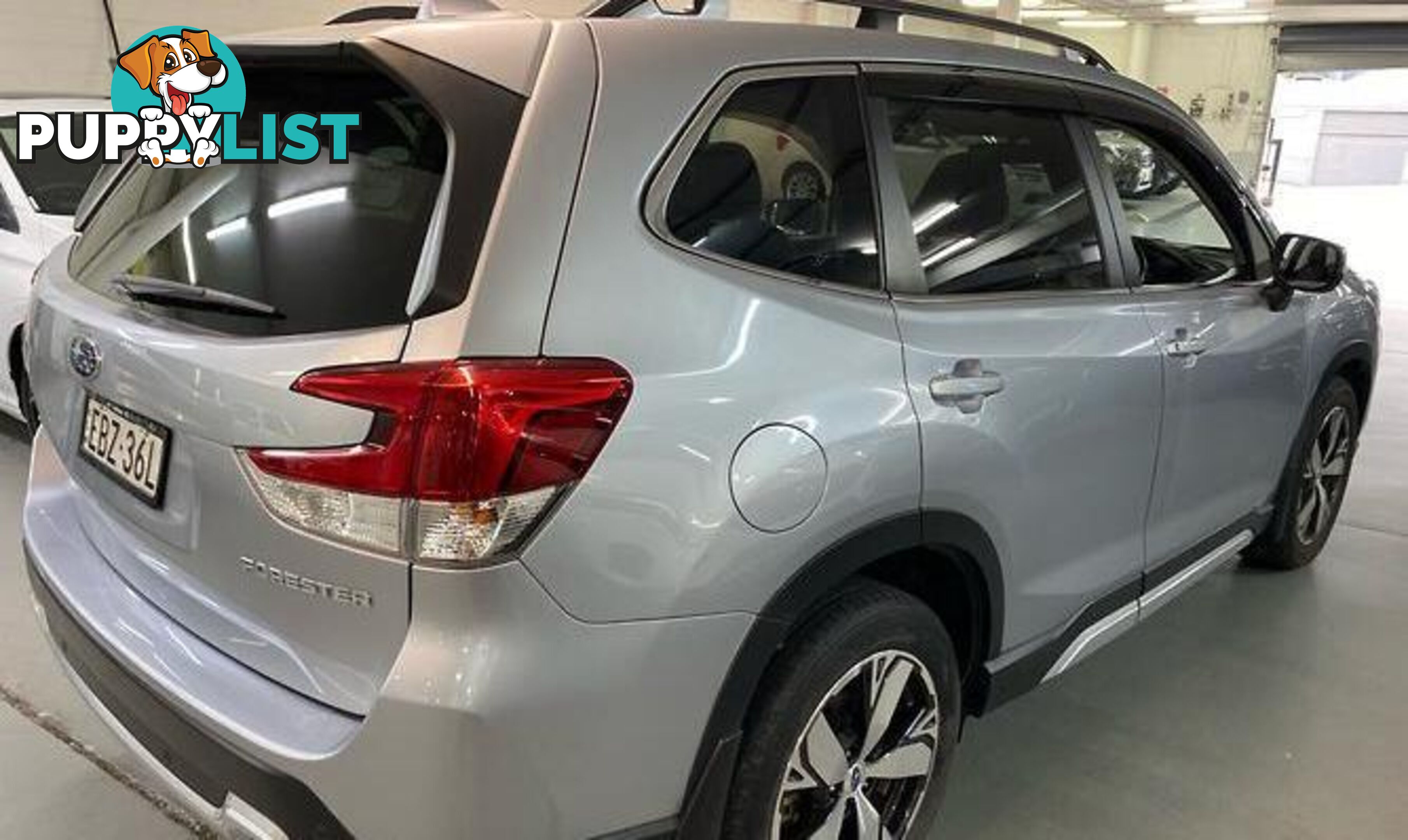 2019 SUBARU FORESTER 2.5I-S S5AUTOAWDMY19 SUV