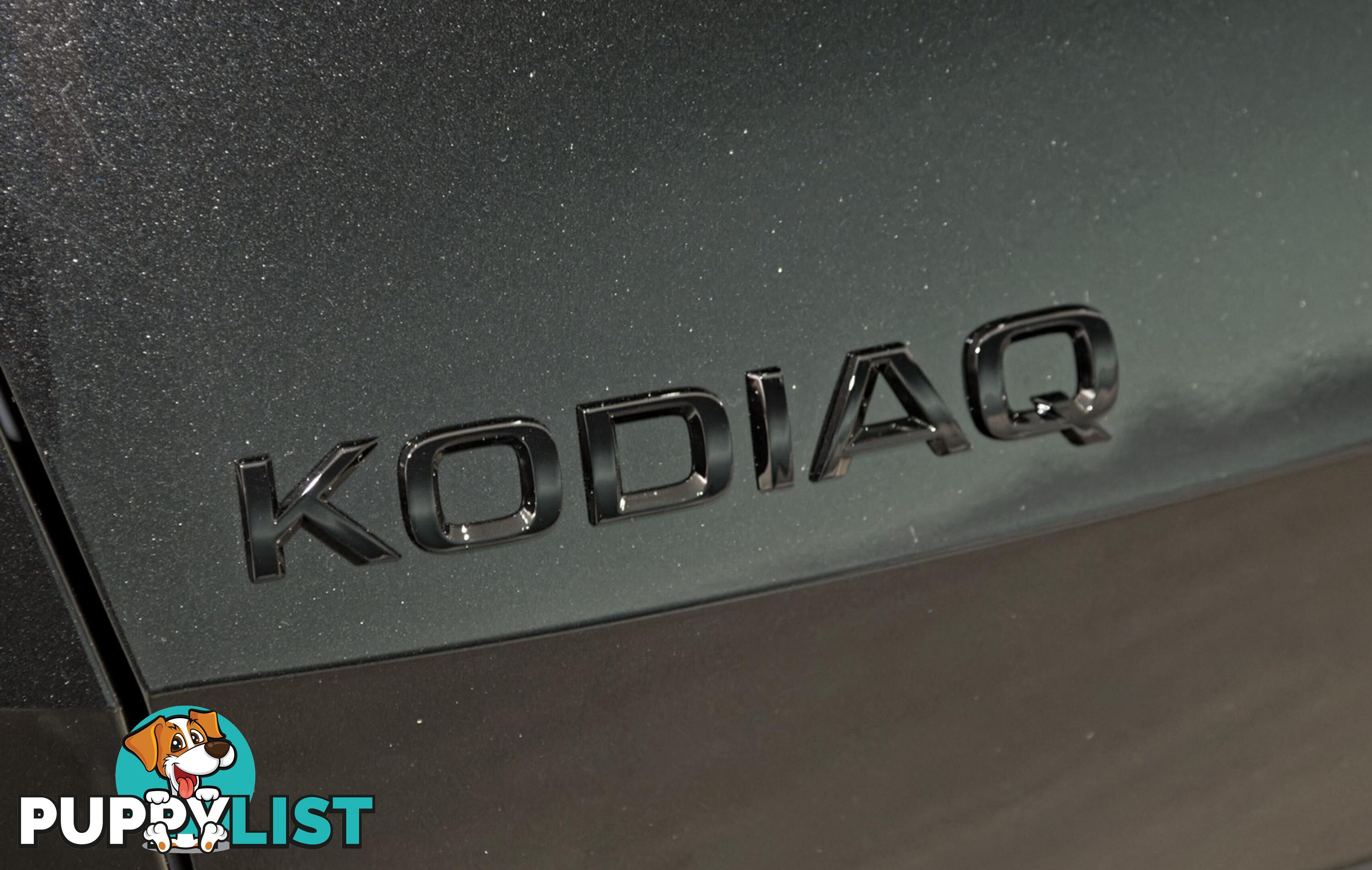 2024 SKODA KODIAQ   SUV