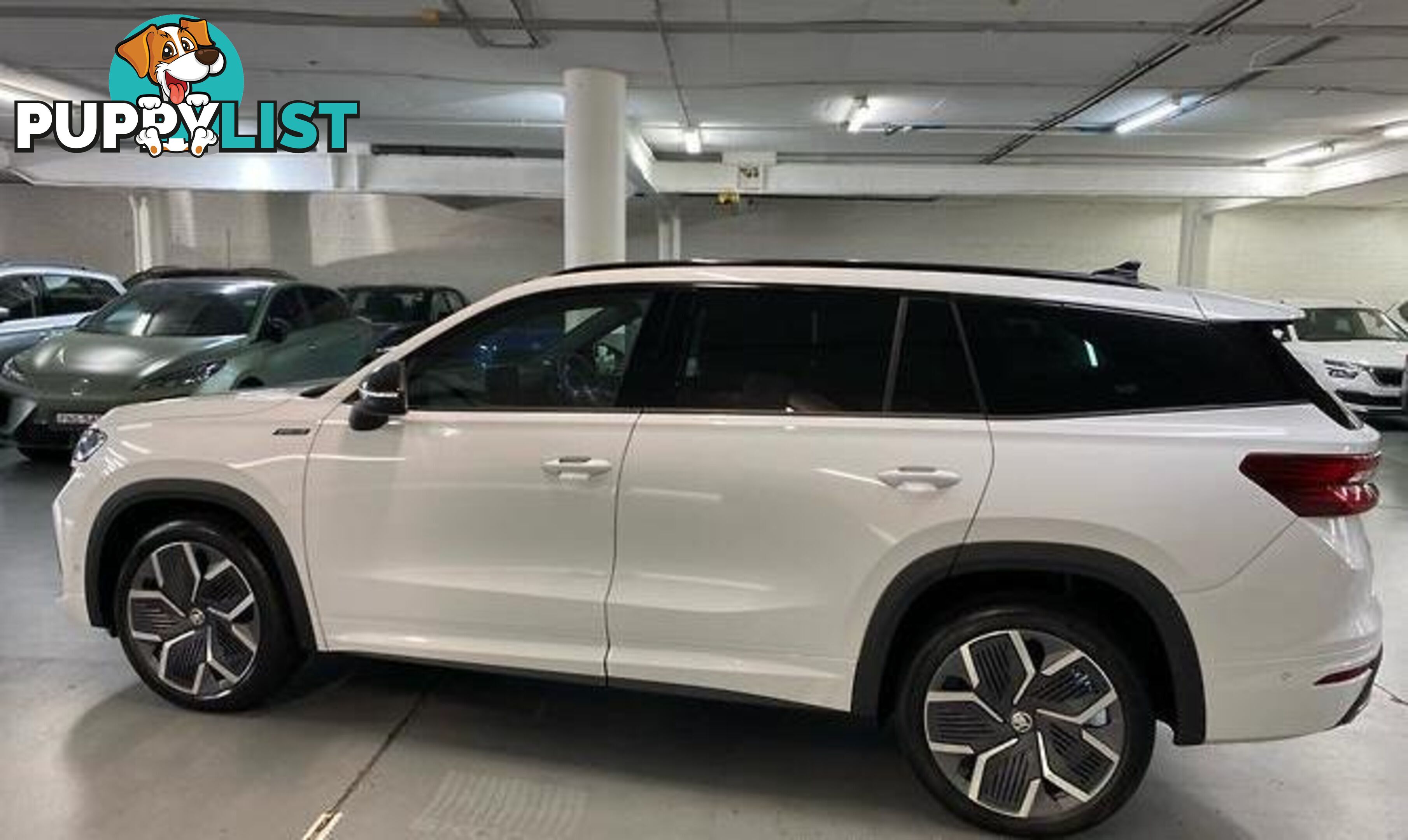 2025 SKODA KODIAQ 140TSI SPORTLINE AUTO4X4MY25 SUV