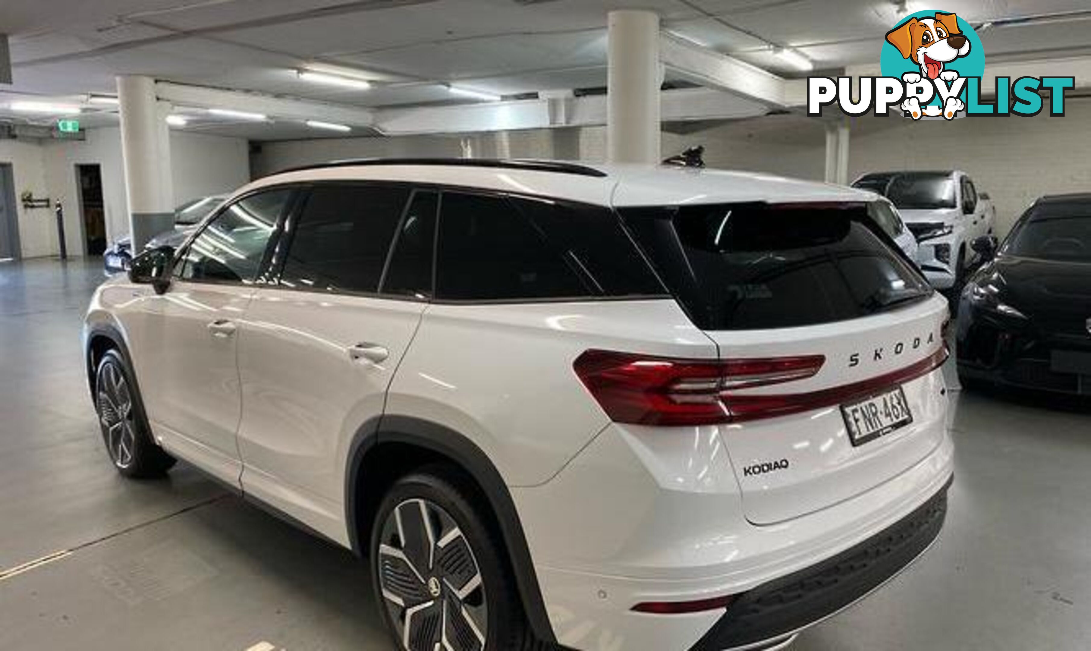 2025 SKODA KODIAQ 140TSI SPORTLINE AUTO4X4MY25 SUV