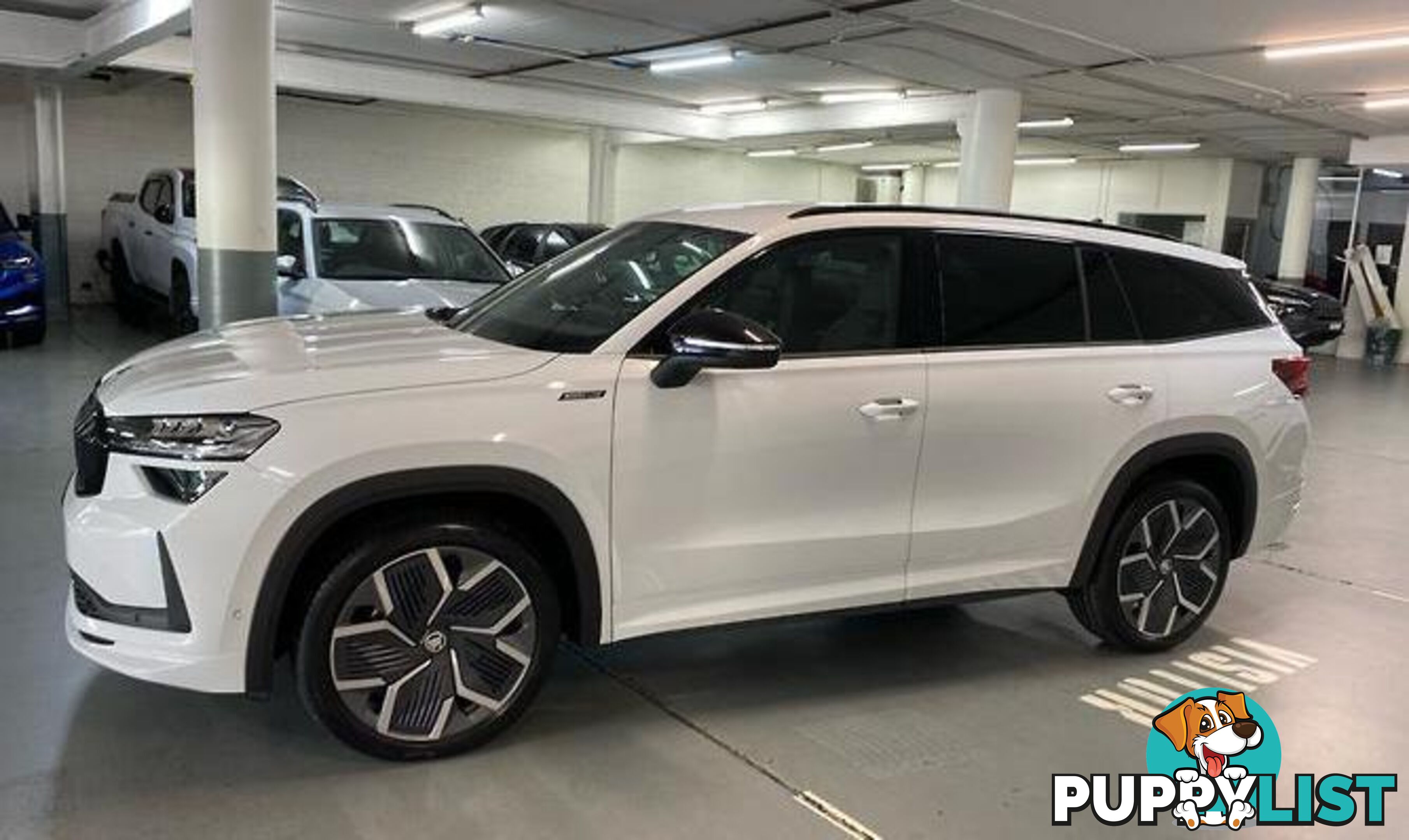 2025 SKODA KODIAQ 140TSI SPORTLINE AUTO4X4MY25 SUV