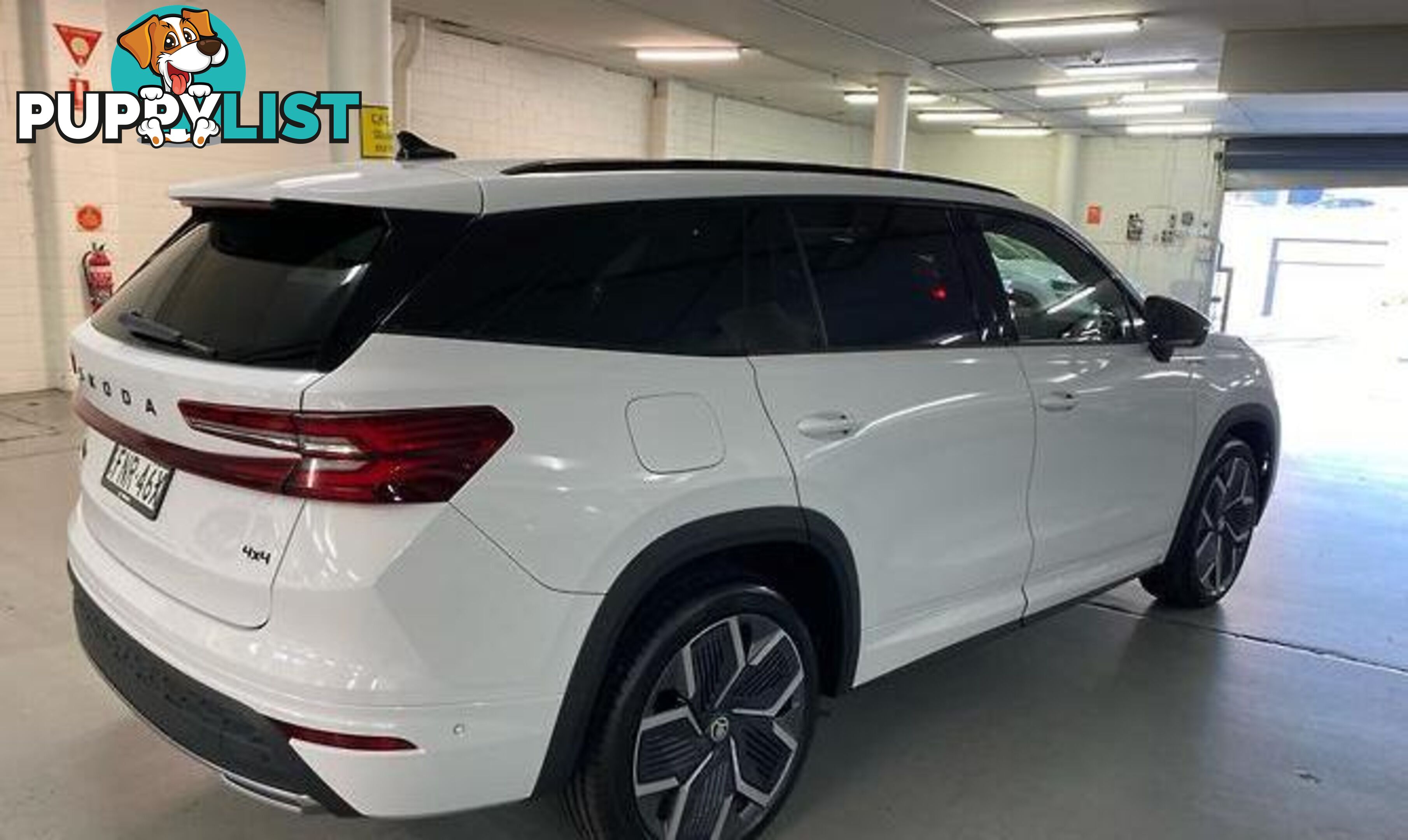 2025 SKODA KODIAQ 140TSI SPORTLINE AUTO4X4MY25 SUV