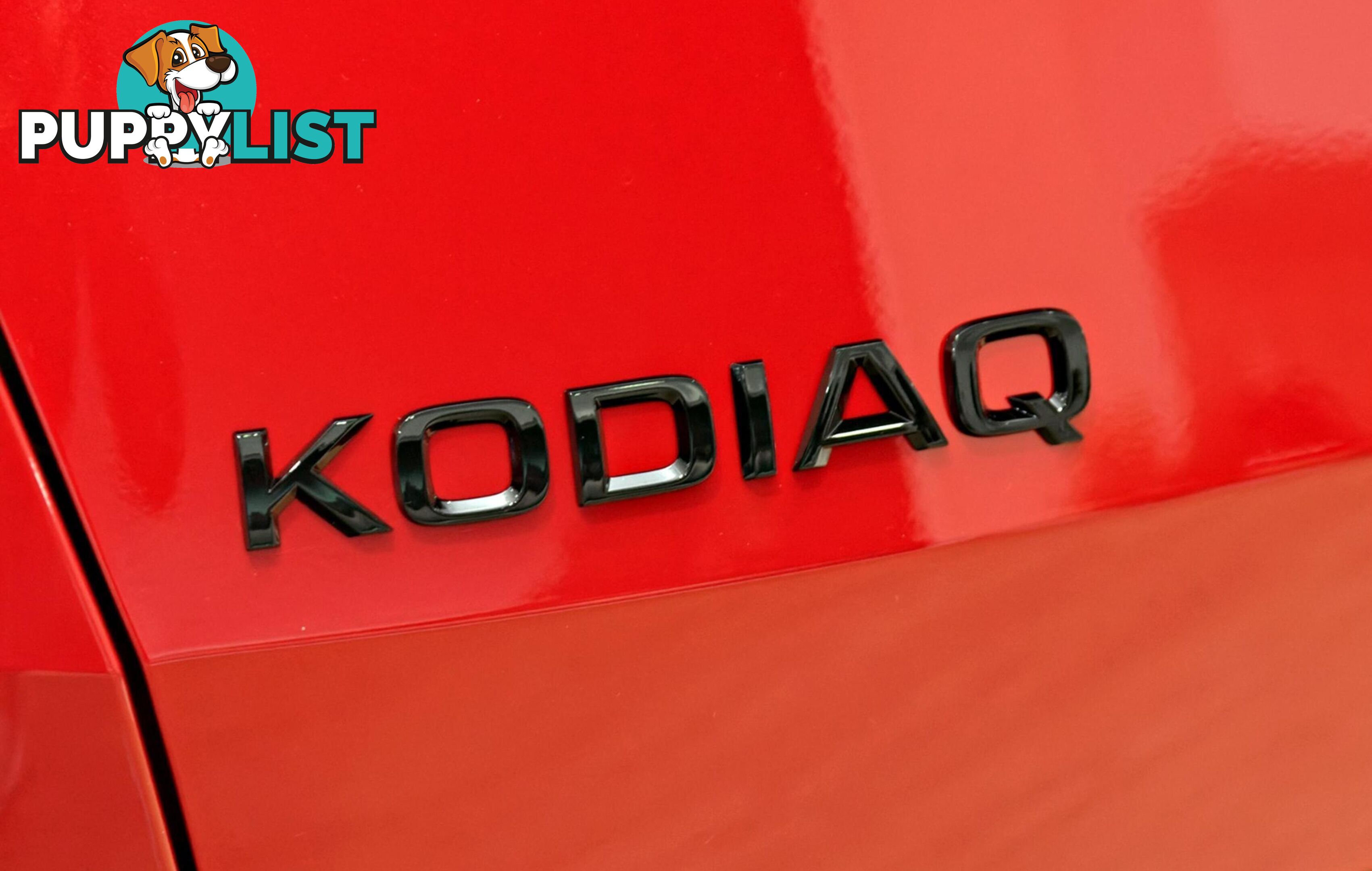 2024 SKODA KODIAQ   SUV