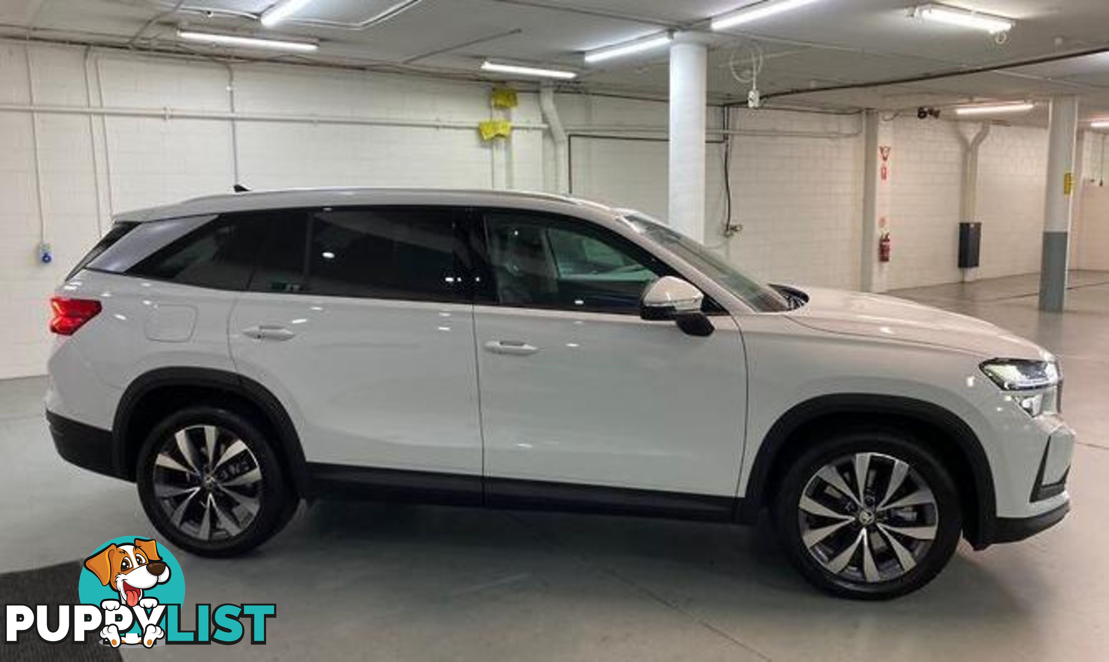2025 SKODA KODIAQ 140TSI SELECT AUTO4X4MY25 SUV