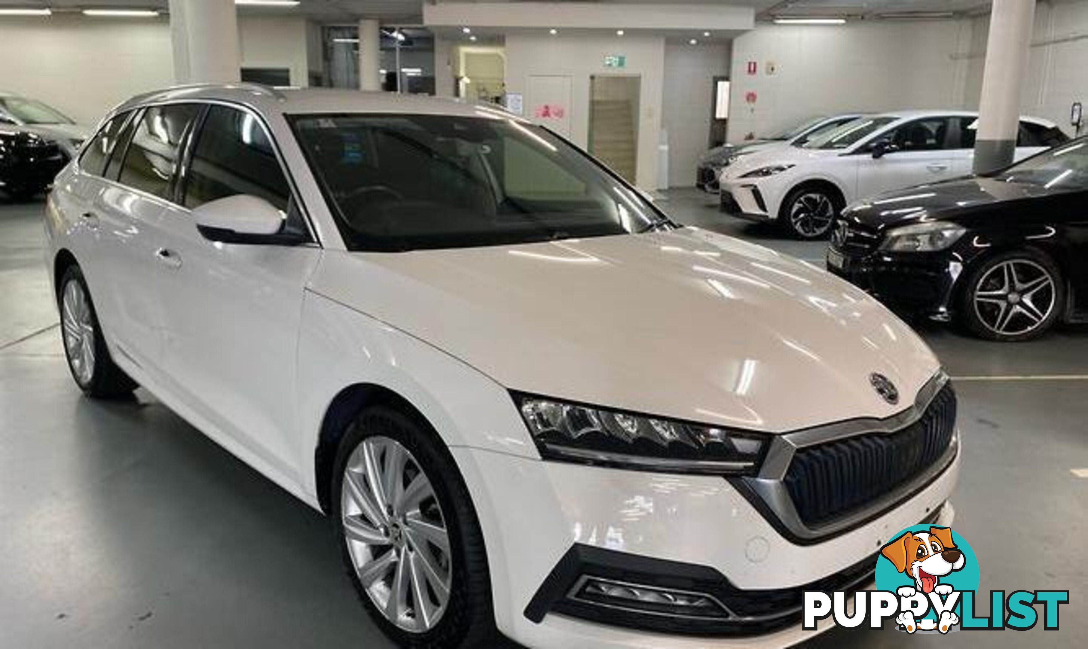 2022 SKODA OCTAVIA 110TSI AMBITION AUTOMY22 HATCH