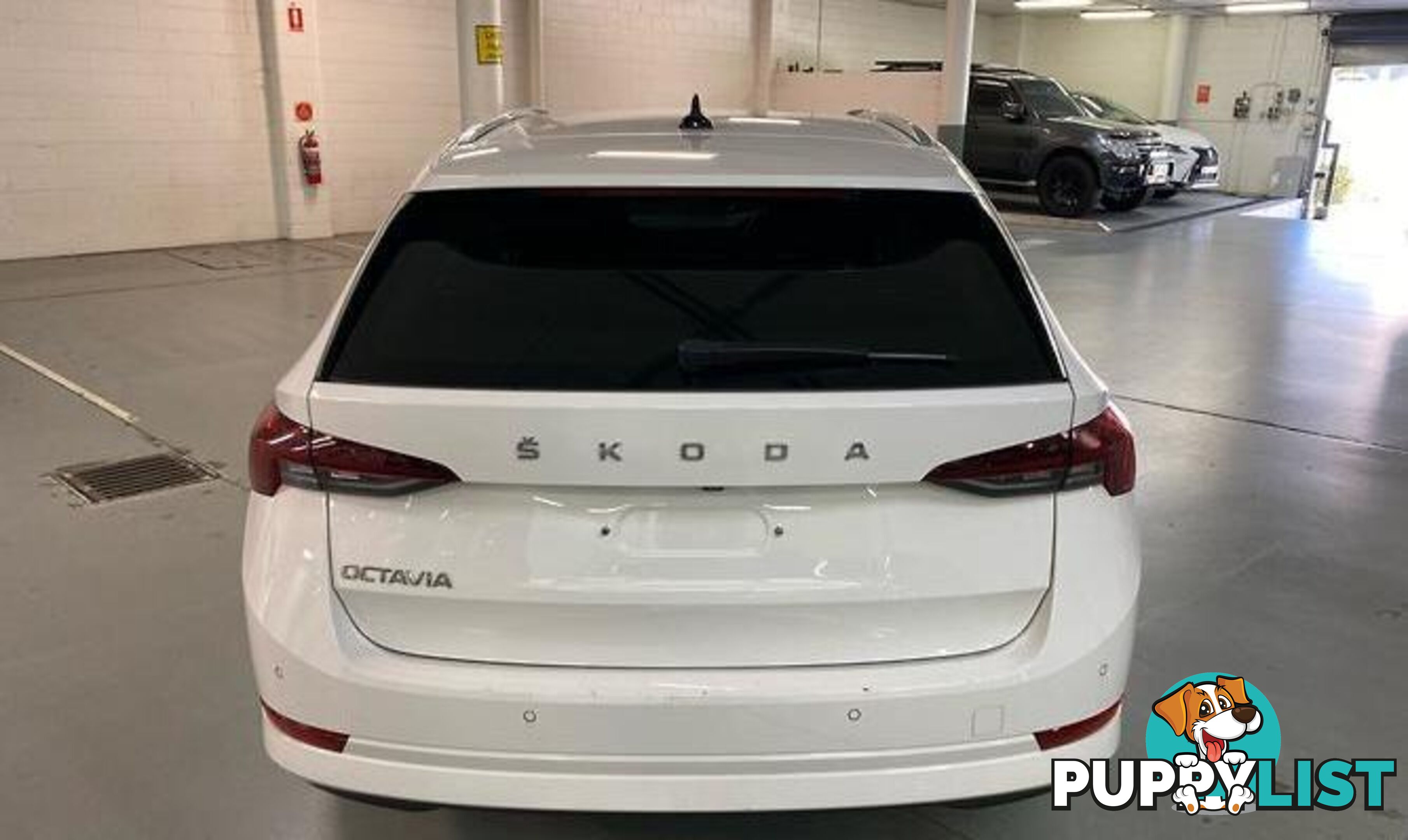 2022 SKODA OCTAVIA 110TSI AMBITION AUTOMY22 HATCH