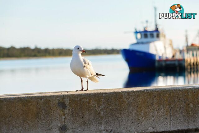 LAKES ENTRANCE VIC 3909