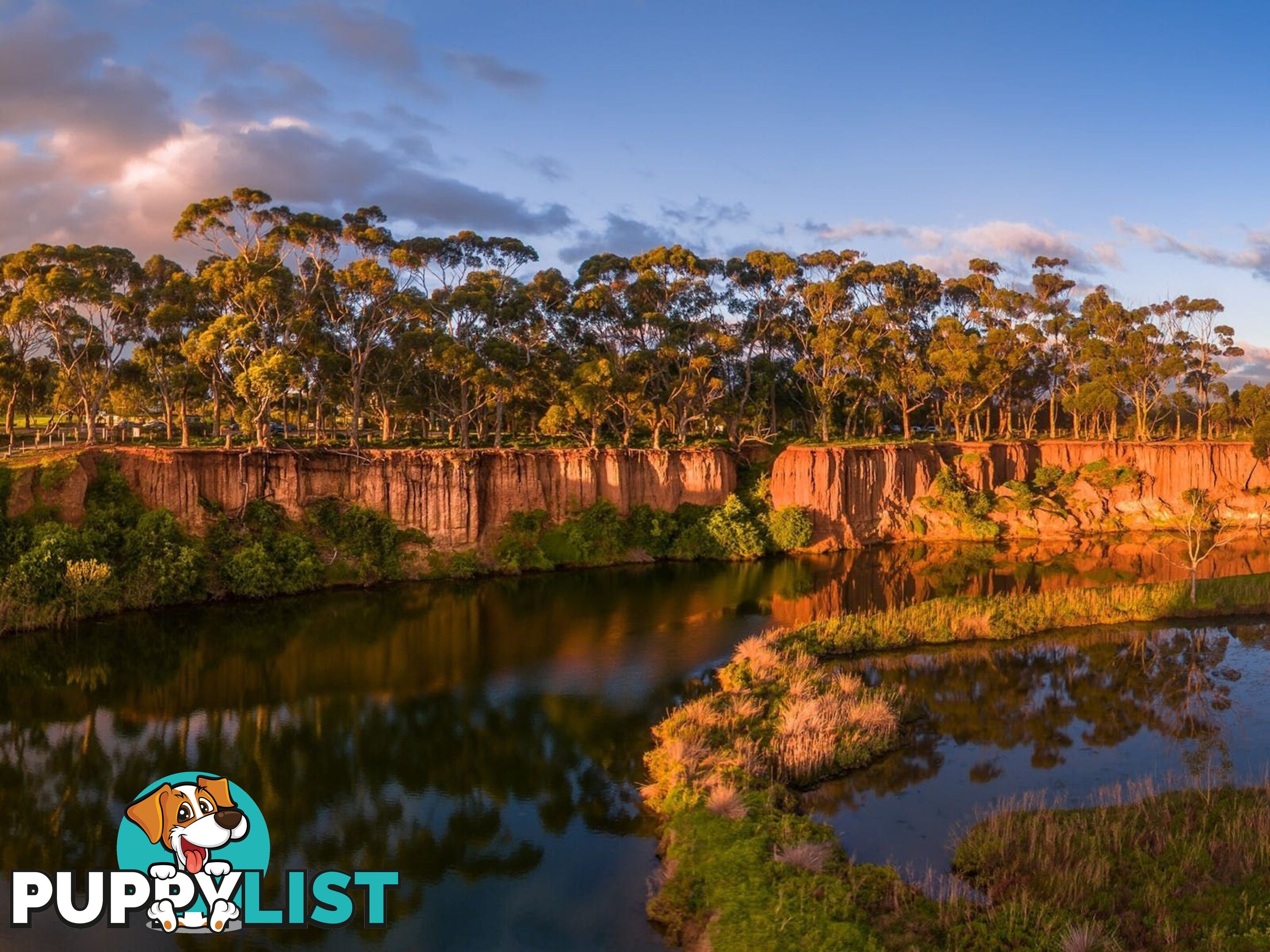 8 5 Gavan Werribee VIC 3030