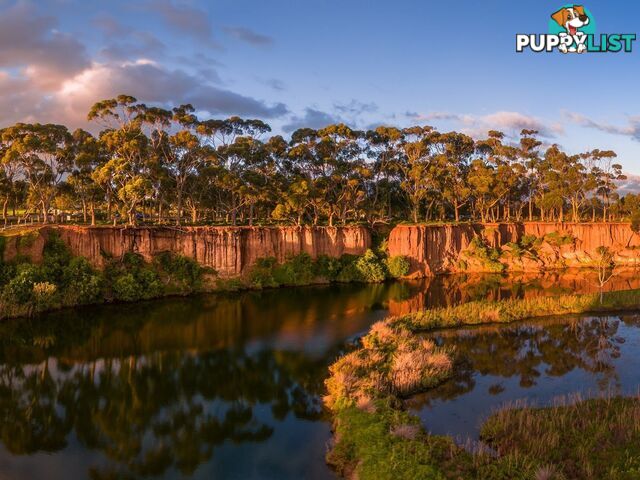 8 5 Gavan Werribee VIC 3030