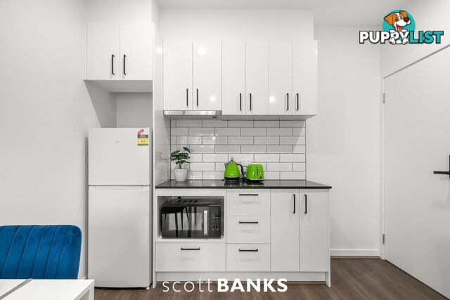13 Raymond Street Melton South VIC 3338
