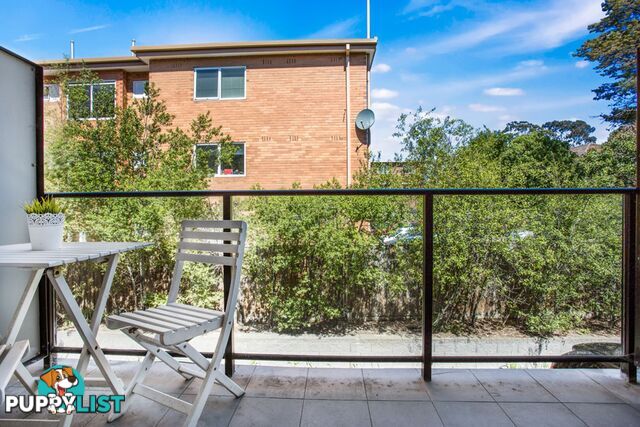 31 589-591 Glenferrie Road HAWTHORN VIC 3122