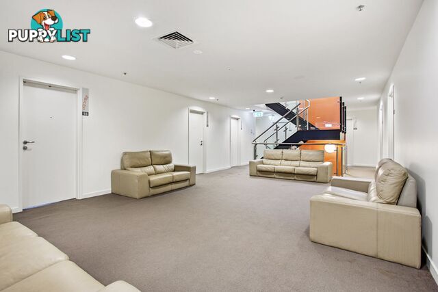 31 589-591 Glenferrie Road HAWTHORN VIC 3122