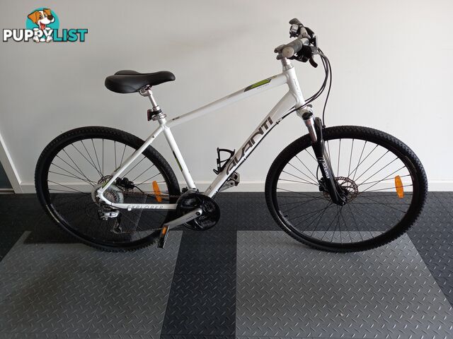 Avanti Mountain Bike