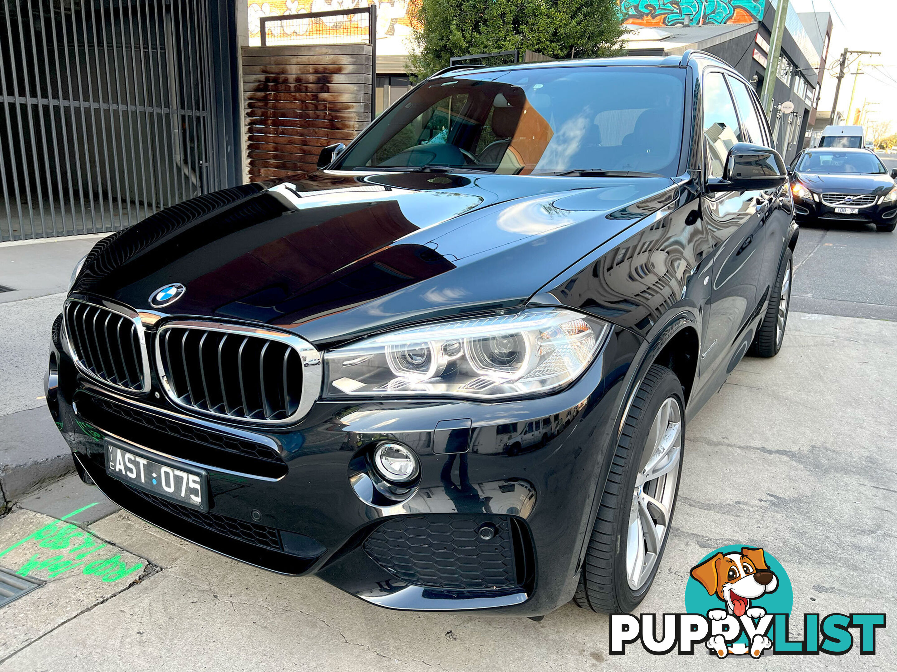 2017 BMW X5 F15 SDRIVE25D SUV Automatic