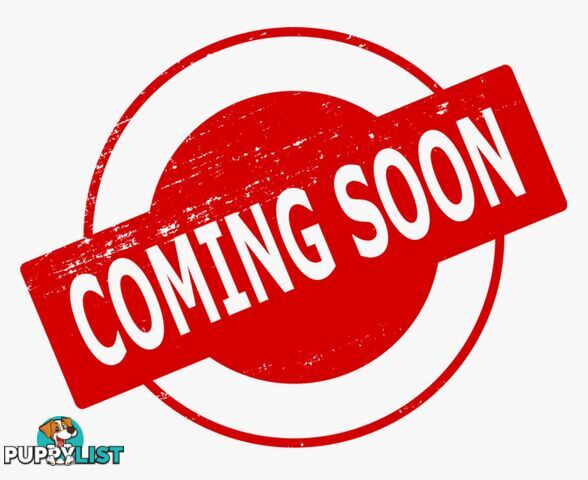2021 FORD RANGER WILDTRAK3,2(4X4) PXMKIIIMY21,25 DOUBLE CAB P/UP