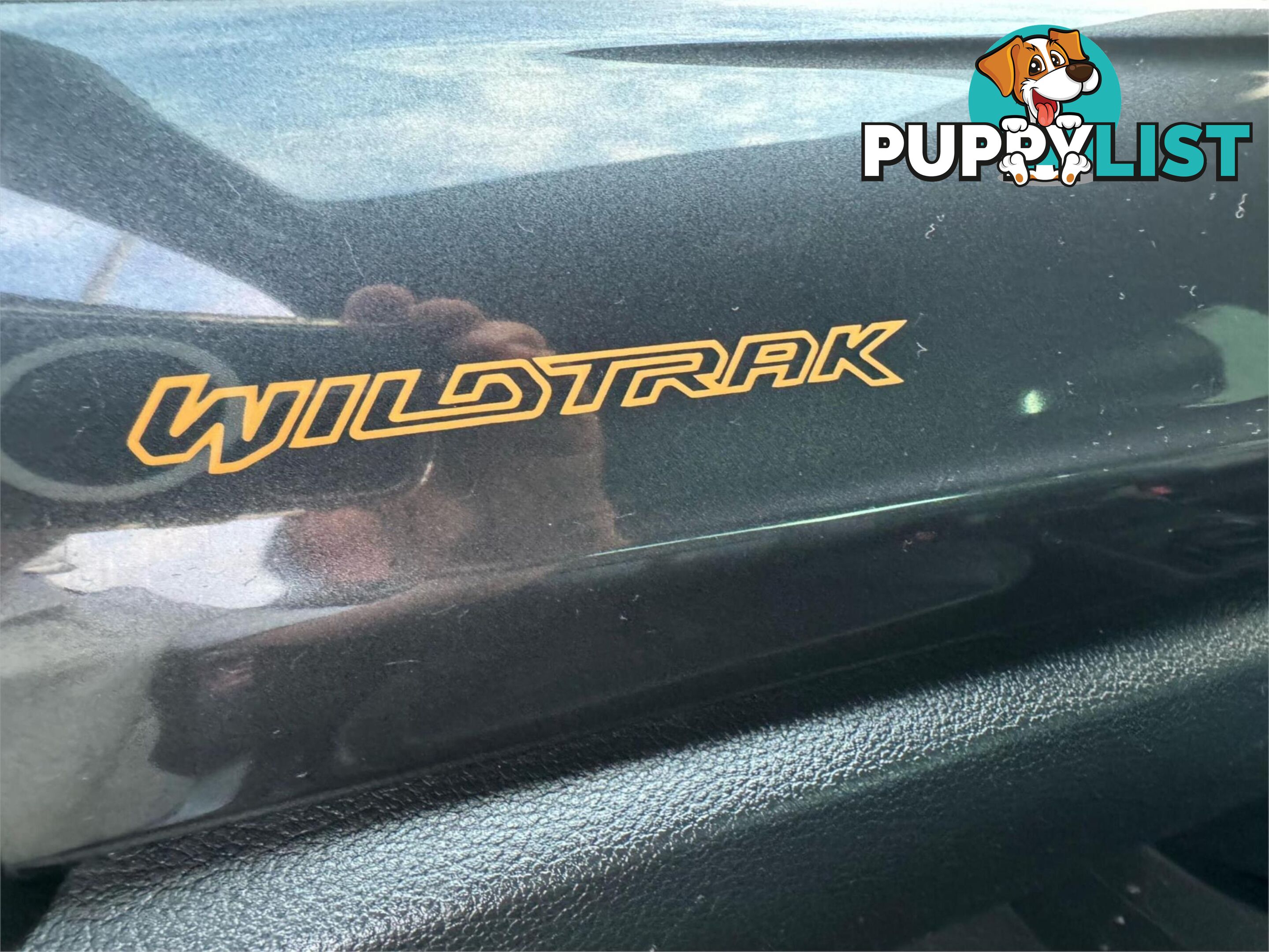 2021 FORD RANGER WILDTRAK3,2(4X4) PXMKIIIMY21,25 DOUBLE CAB P/UP