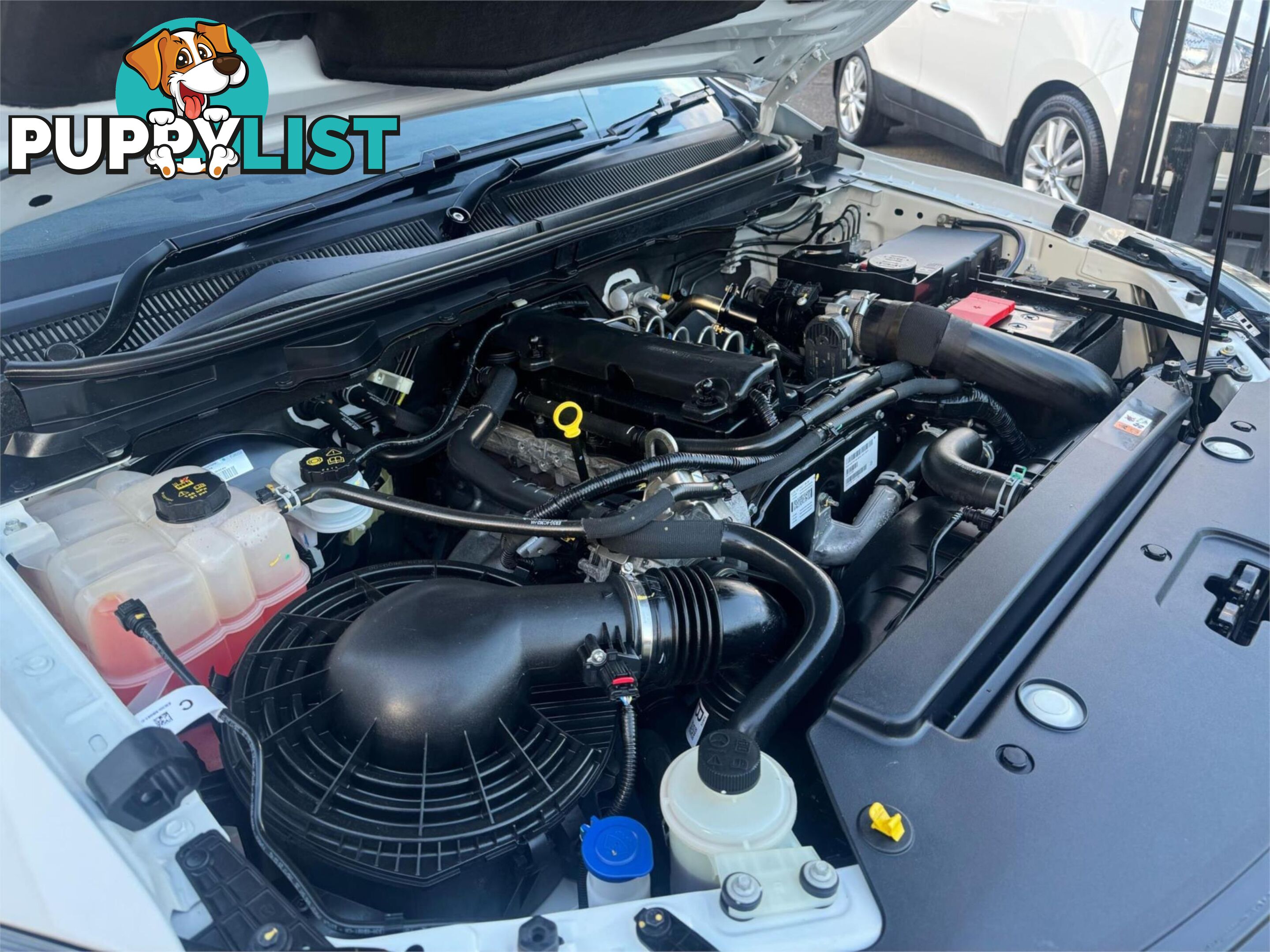 2018 MAZDA BT-50 XTHI RIDER(4X2) MY18 FREESTYLE C/CHAS