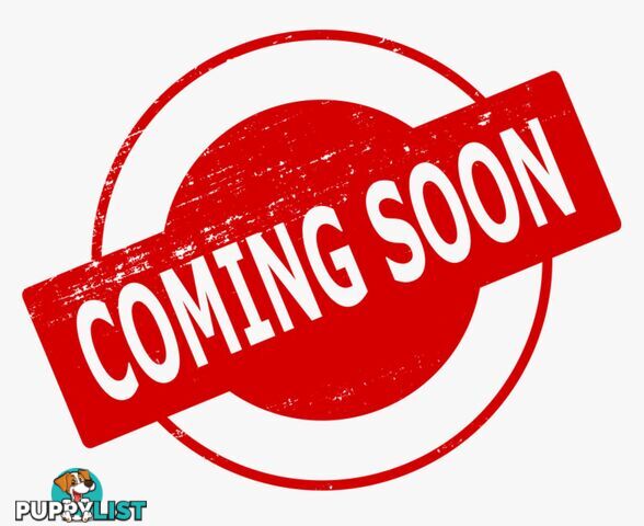 2020 MITSUBISHI TRITON GLX(4X2) MRMY21 C/CHAS