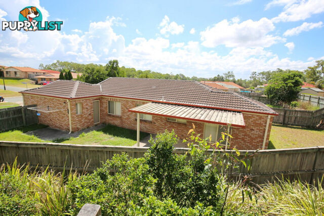 42 Woodrow Street Waterford QLD 4133