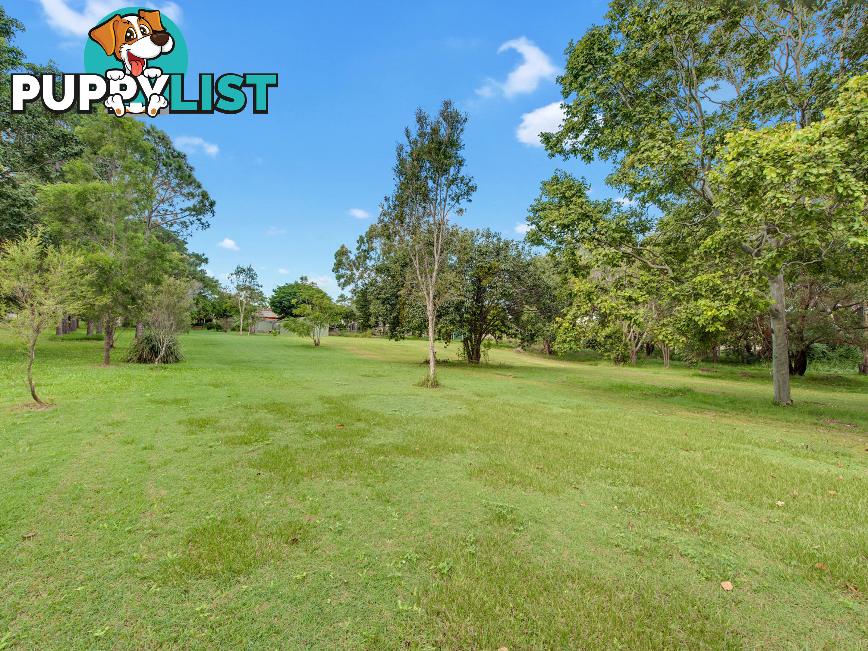 24 Cobalt Drive Bethania QLD 4205