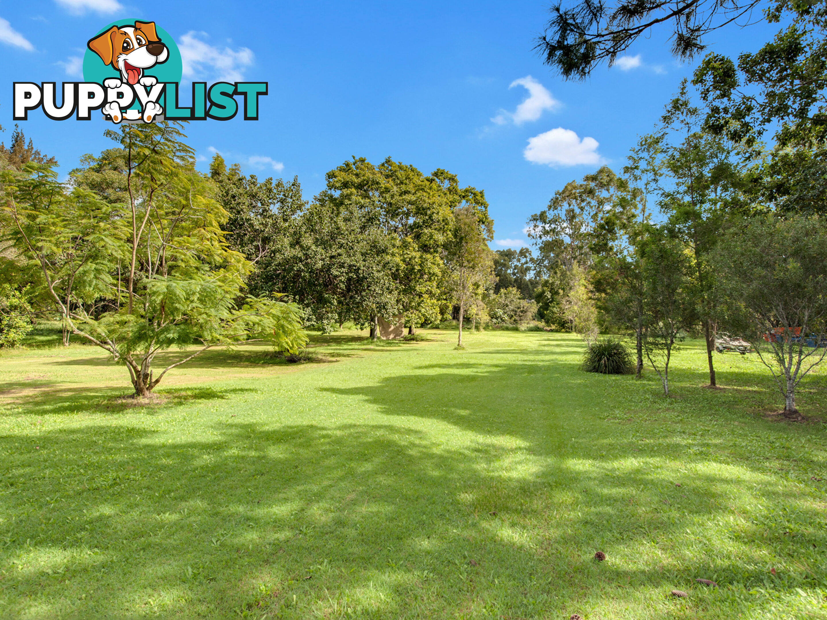 24 Cobalt Drive Bethania QLD 4205