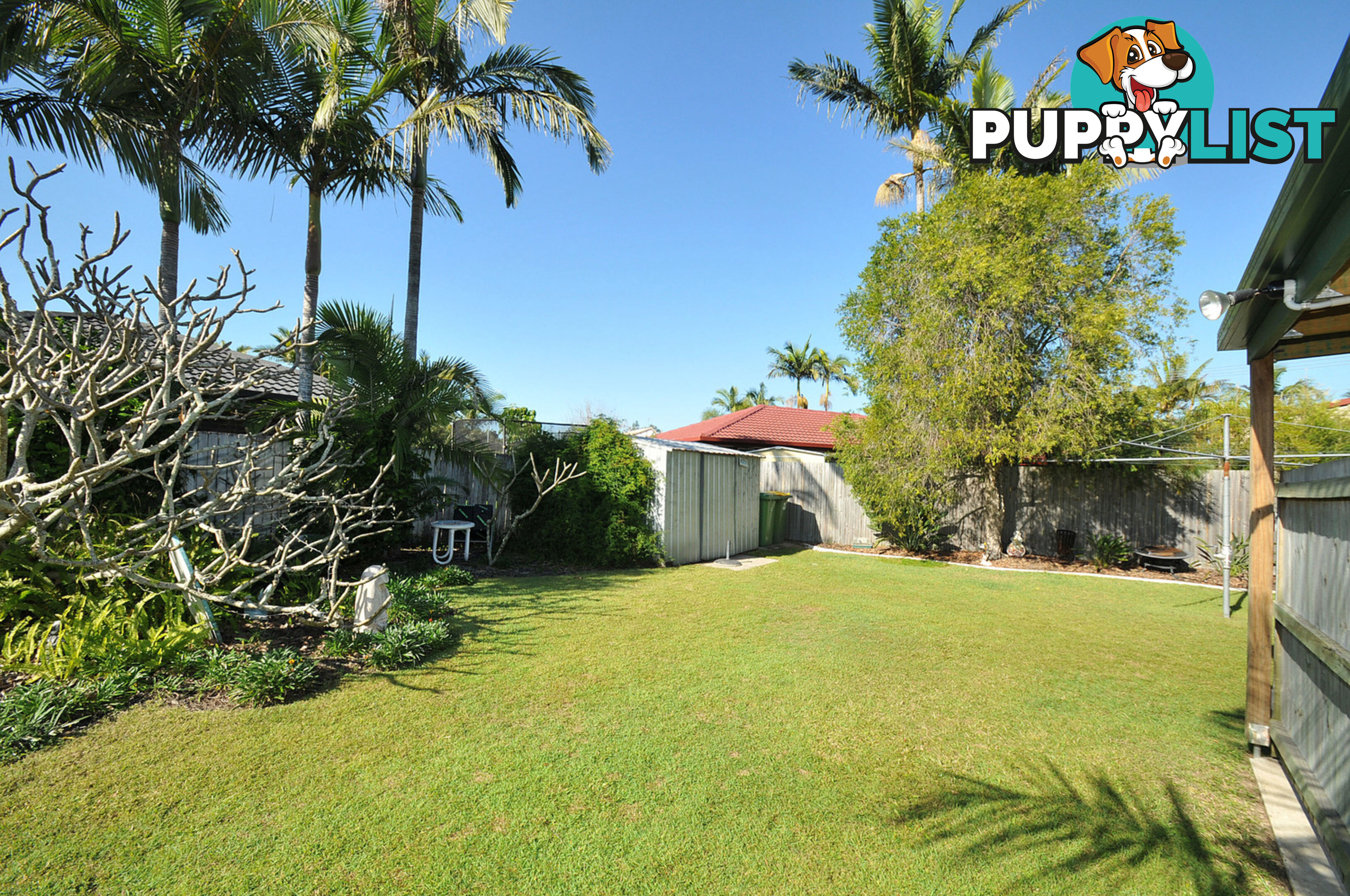 36 Mercury Drive Bethania QLD 4205