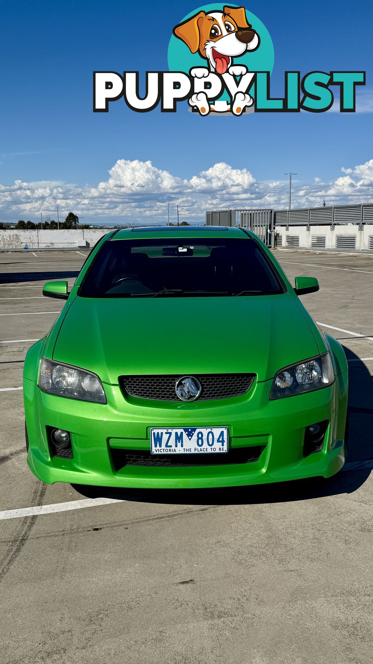 2009 Holden Commodore VE SV6 Sedan Automatic