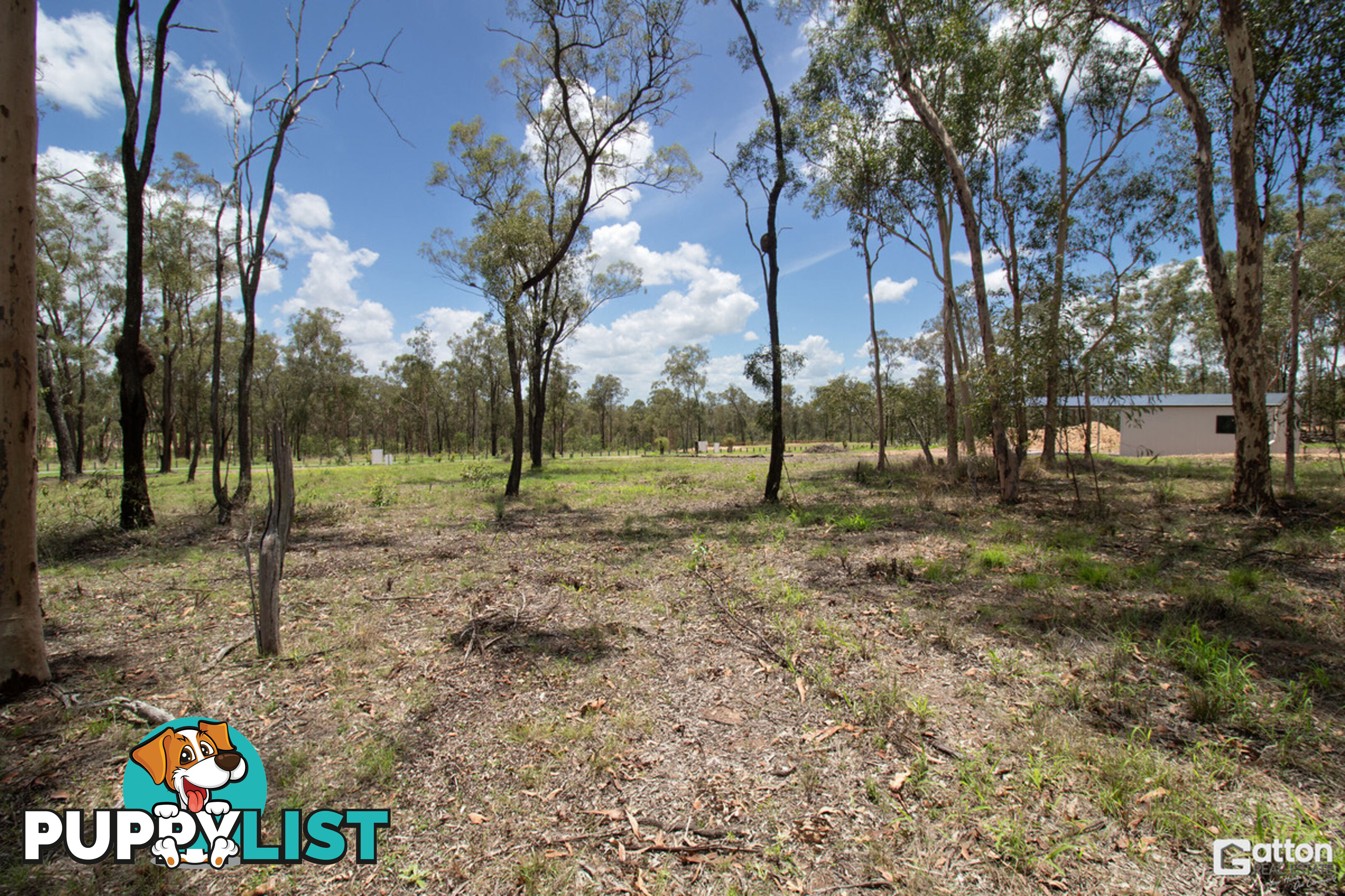 91 31 Howell Circuit Adare QLD 4343