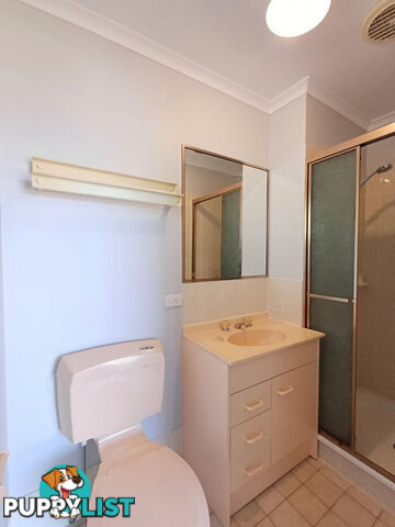 11 Jackson Court Gatton QLD 4343