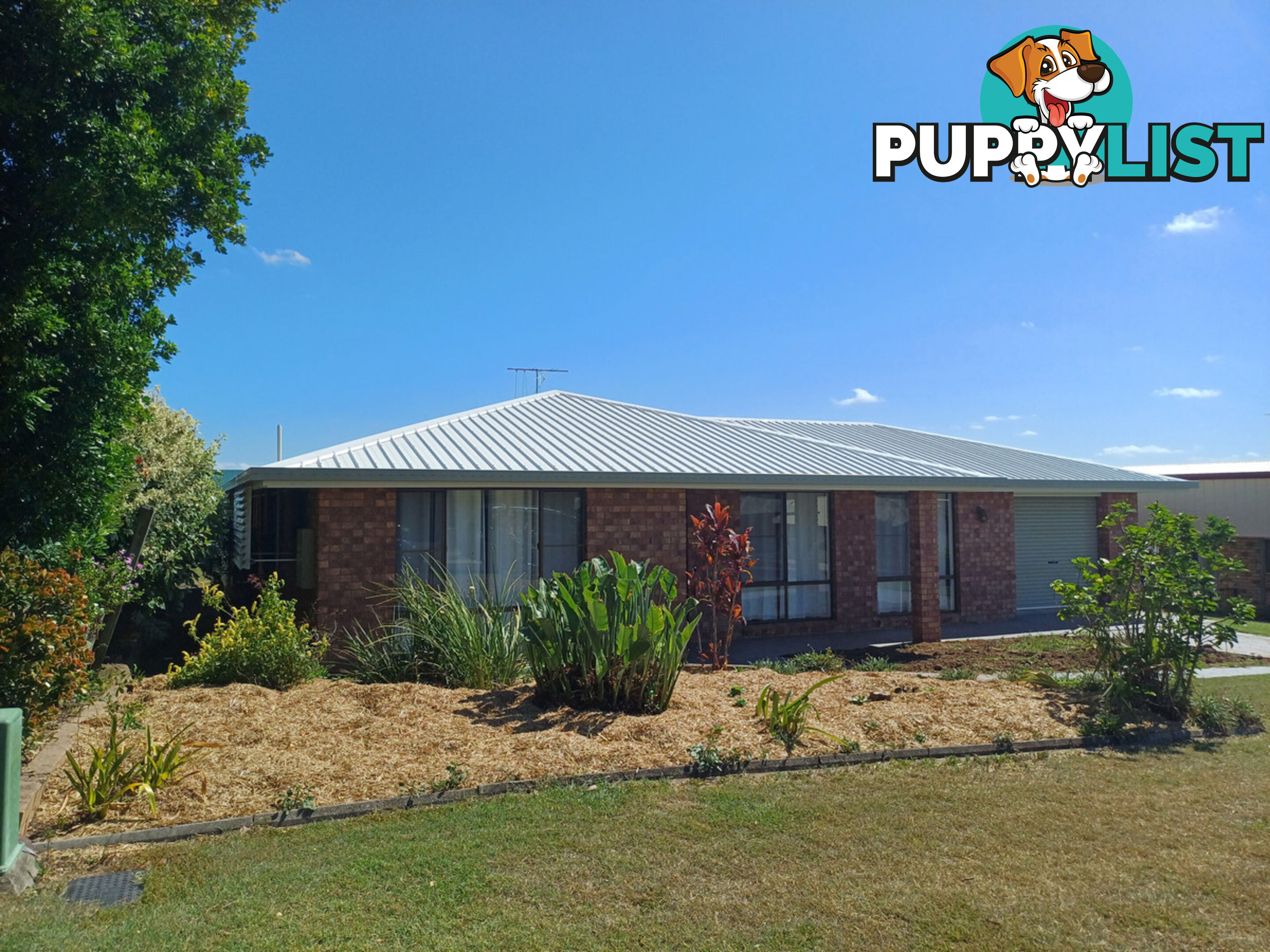 11 Jackson Court Gatton QLD 4343