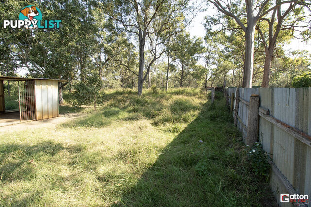 218 Bartleys Road Spring Creek QLD 4343