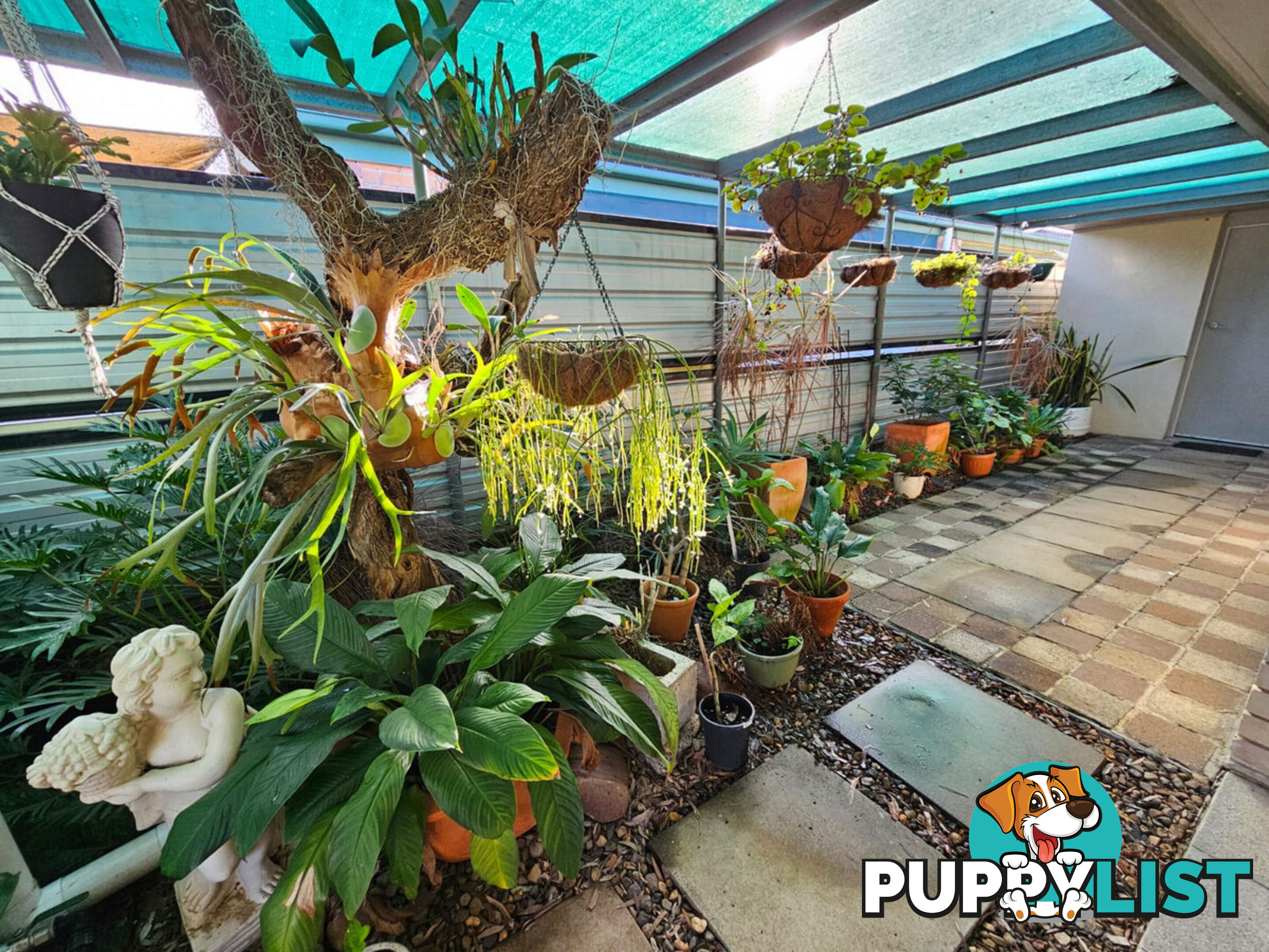 17 South Street Gatton QLD 4343