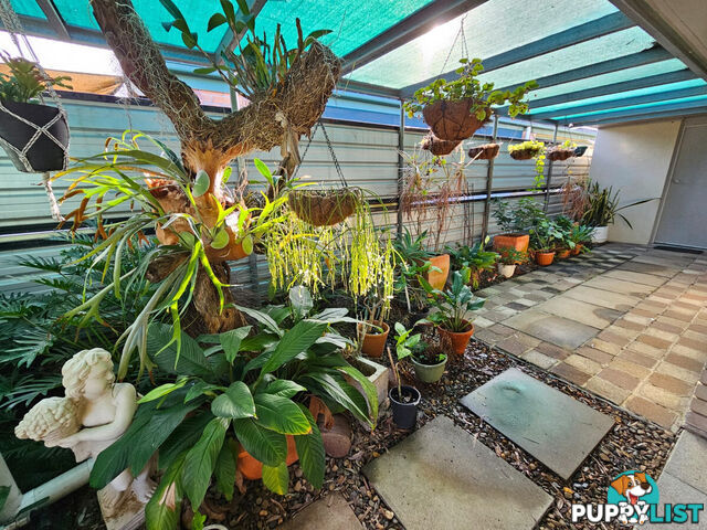 17 South Street Gatton QLD 4343