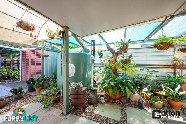 17 South Street Gatton QLD 4343